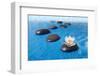 Zen Stones in Water-witold krasowski-Framed Photographic Print