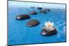 Zen Stones in Water-witold krasowski-Mounted Photographic Print