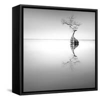 Zen Tree-Moises Levy-Framed Stretched Canvas