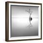 Zen Tree-Moises Levy-Framed Photographic Print