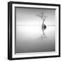 Zen Tree-Moises Levy-Framed Photographic Print