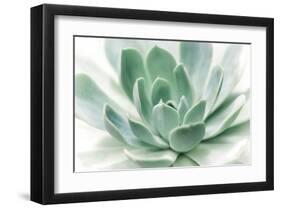 Zen-Dina Marie-Framed Giclee Print