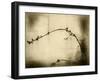 Zen-Jeffrey Hummel-Framed Photographic Print