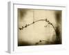 Zen-Jeffrey Hummel-Framed Photographic Print