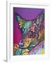 Zena-004-Dean Russo-Framed Giclee Print