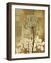 Zenfully Golden 1-Albert Koetsier-Framed Art Print