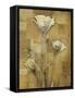 Zenfully Golden 2-Albert Koetsier-Framed Stretched Canvas