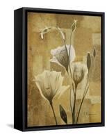 Zenfully Golden 3-Albert Koetsier-Framed Stretched Canvas