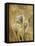 Zenfully Golden 3-Albert Koetsier-Framed Stretched Canvas