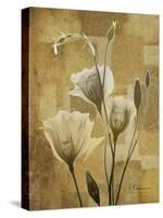 Zenfully Golden 3-Albert Koetsier-Stretched Canvas