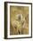 Zenfully Golden 3-Albert Koetsier-Framed Art Print