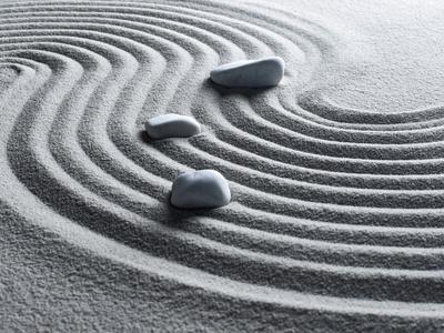 'Zengarten' Photographic Print Michael Zirn