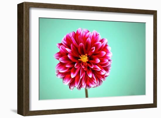 Zenia-Gail Peck-Framed Photographic Print