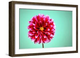 Zenia-Gail Peck-Framed Photographic Print