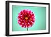 Zenia-Gail Peck-Framed Photographic Print