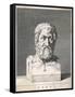 Zeno of Citium Greek Philosopher; Founder of the Stoic School-null-Framed Stretched Canvas