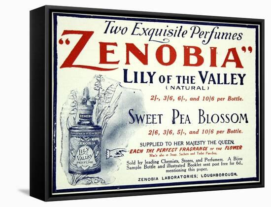 Zenobia Perfumes-null-Framed Stretched Canvas