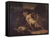 Zenobia Saved from the River Araxes by Shepherds-Francesco Nenci-Framed Stretched Canvas