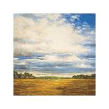 Tranquil Meadow-Zenon Burdy-Giclee Print