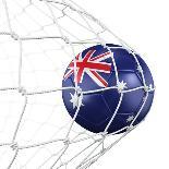 Australian Soccer Ball in a Net-zentilia-Art Print