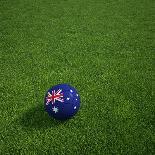 Australian Soccerball Lying on Grass-zentilia-Art Print