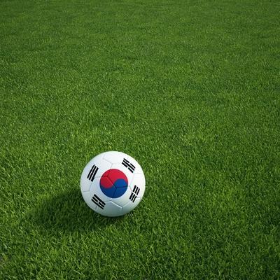 South Korean Soccerball Lying on Grass