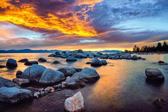 Premium Photographic Print, , large