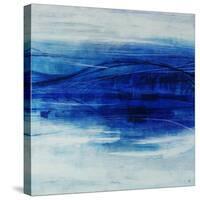 Zephyr Star-Joshua Schicker-Stretched Canvas