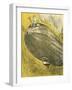 Zeppelin 'Hindenburg'-Wilhelm Schutz-Framed Art Print