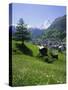 Zermatt and the Matterhorn Mountain, Valais (Wallis), Swiss Alps, Switzerland, Europe-Roy Rainford-Stretched Canvas