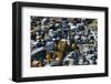 Zermatt in autumn, Valais, Swiss Alps, Switzerland, Europe-Christian Kober-Framed Photographic Print