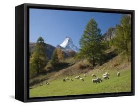 Zermatt, Valais, Swiss Alps, Switzerland, Europe-Angelo Cavalli-Framed Stretched Canvas