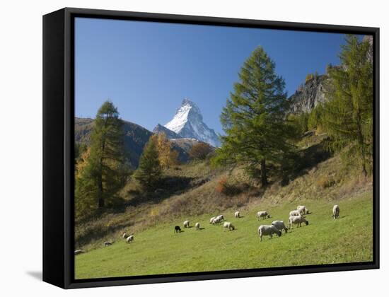 Zermatt, Valais, Swiss Alps, Switzerland, Europe-Angelo Cavalli-Framed Stretched Canvas