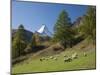 Zermatt, Valais, Swiss Alps, Switzerland, Europe-Angelo Cavalli-Mounted Premium Photographic Print