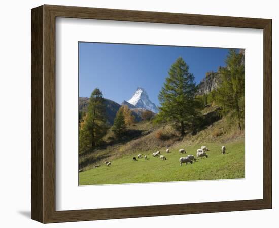 Zermatt, Valais, Swiss Alps, Switzerland, Europe-Angelo Cavalli-Framed Photographic Print