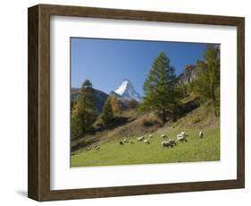 Zermatt, Valais, Swiss Alps, Switzerland, Europe-Angelo Cavalli-Framed Photographic Print