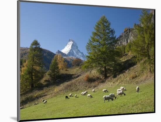 Zermatt, Valais, Swiss Alps, Switzerland, Europe-Angelo Cavalli-Mounted Photographic Print