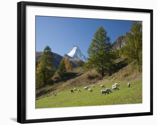 Zermatt, Valais, Swiss Alps, Switzerland, Europe-Angelo Cavalli-Framed Photographic Print