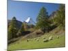 Zermatt, Valais, Swiss Alps, Switzerland, Europe-Angelo Cavalli-Mounted Photographic Print