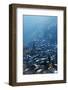 Zermatt, Valais, Swiss Alps, Switzerland, Europe-Christian Kober-Framed Photographic Print