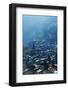 Zermatt, Valais, Swiss Alps, Switzerland, Europe-Christian Kober-Framed Photographic Print