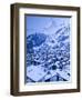 Zermatt, Valais, Switzerland-Walter Bibikow-Framed Photographic Print