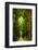 Zero Vision-Philippe Sainte-Laudy-Framed Photographic Print