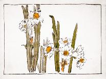 White-Robed Kannon-Zeshin Shibata-Giclee Print