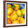 Zest For Life-Terri Hill-Framed Giclee Print