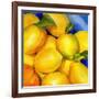 Zest For Life-Terri Hill-Framed Giclee Print