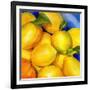 Zest For Life-Terri Hill-Framed Giclee Print