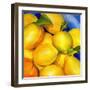 Zest For Life-Terri Hill-Framed Giclee Print