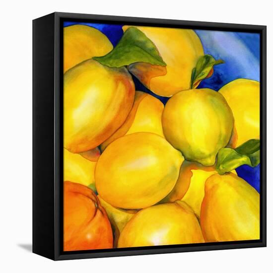 Zest For Life-Terri Hill-Framed Stretched Canvas