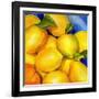 Zest For Life-Terri Hill-Framed Premium Giclee Print